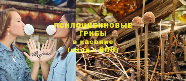 гашик Белокуриха