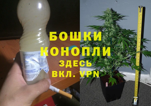 стаф Белоозёрский