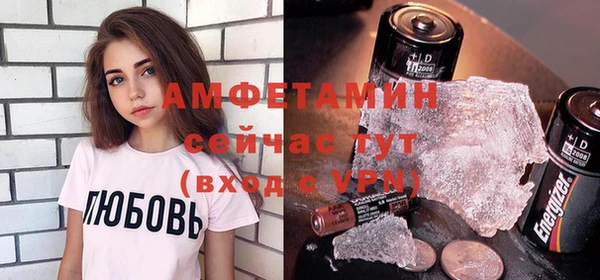 шишки Богородицк