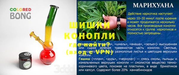гашик Белокуриха