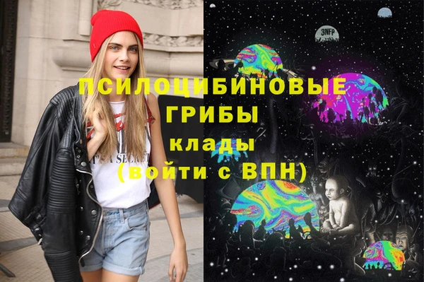 стаф Белоозёрский