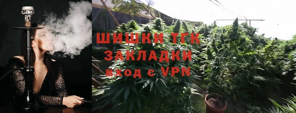 гашик Белокуриха