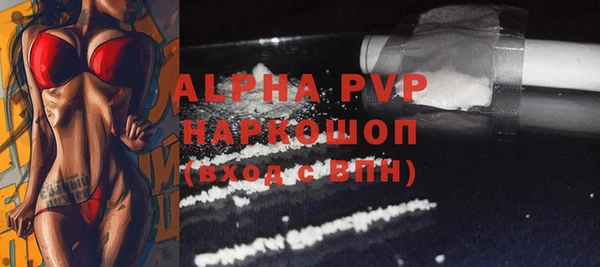 гашик Белокуриха