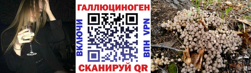 Купить где Таруса Псилоцибиновые грибы Cubensis